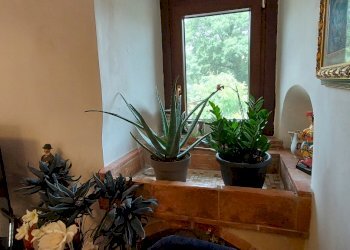 20210621_114743.jpg - Casa indipendente Todi - foto 16