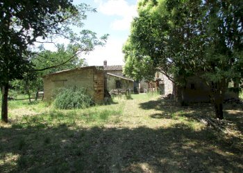 IMG_0469 - Copia.JPG - Casale Todi - foto 7