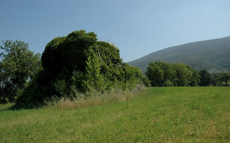 dr57_08.jpg - Casale Massa Martana - photo 3