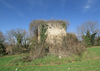 IMG_9848.JPG - Casale Massa Martana - foto 1