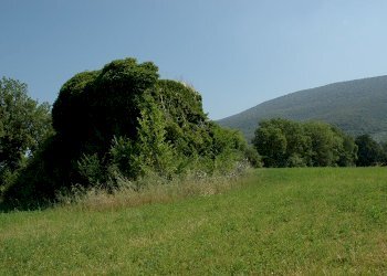 dr57_08.jpg - Casale Massa Martana - foto 3