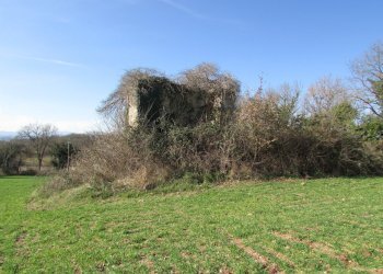 IMG_9847.JPG - Casale Massa Martana - foto 6