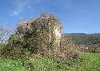 IMG_9850.JPG - Casale Massa Martana - foto 7