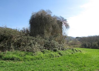 IMG_9853.JPG - Casale Massa Martana - foto 8