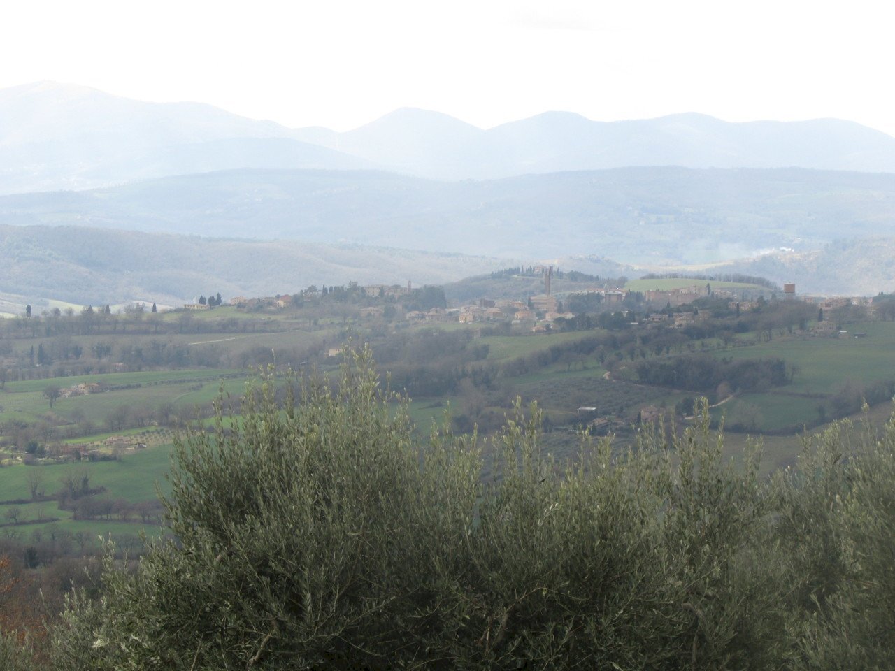 IMG_9917.JPG - Casale Massa Martana - photo 3