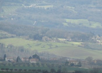 IMG_9913.JPG - Casale Massa Martana - foto 2