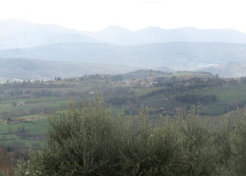 IMG_9917.JPG - Casale Massa Martana - foto 3