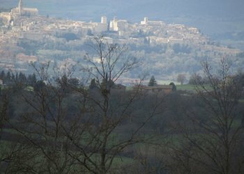 IMG_9931.JPG - Casale Massa Martana - foto 5