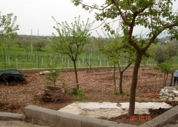 Immagine 009-23.jpg - Villa Massa Martana - foto 7