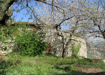 IMG_7850.JPG - Casale Todi - foto 20