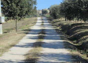 IMG_7489.JPG - Casale Todi - foto 14