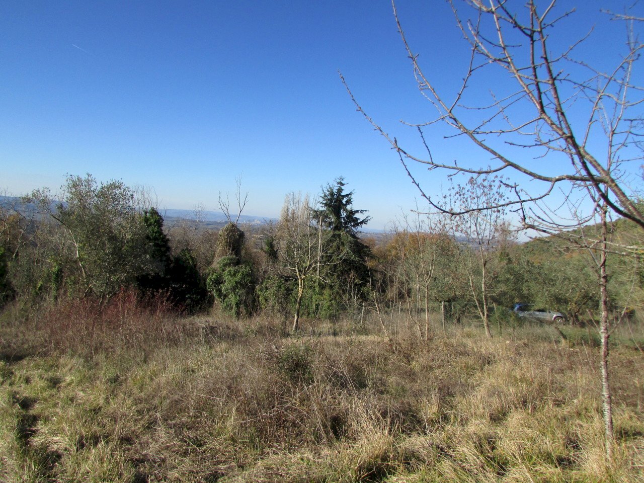 IMG_7338.JPG - Rustico Massa Martana - foto 1