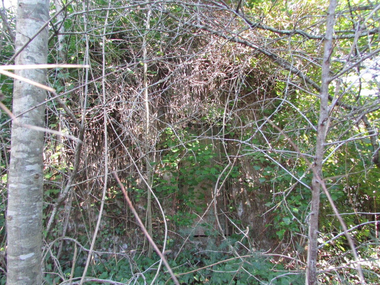 IMG_7332.JPG - Rustico Massa Martana - foto 2