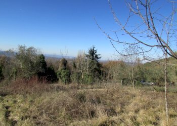 IMG_7338.JPG - Rustico Massa Martana - foto 1