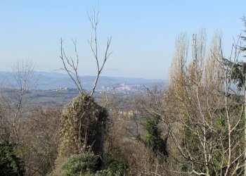 IMG_7334.JPG - Rustico Massa Martana - foto 3