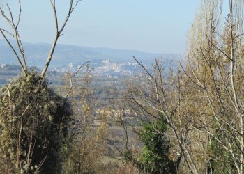 IMG_7337.JPG - Rustico Massa Martana - foto 4