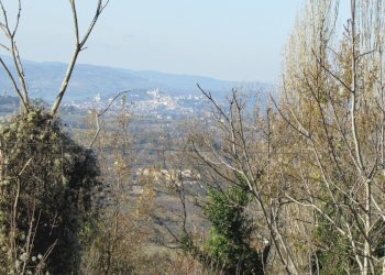 IMG_7339.JPG - Rustico Massa Martana - foto 5