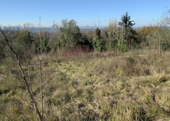 IMG_7342.JPG - Rustico Massa Martana - foto 7