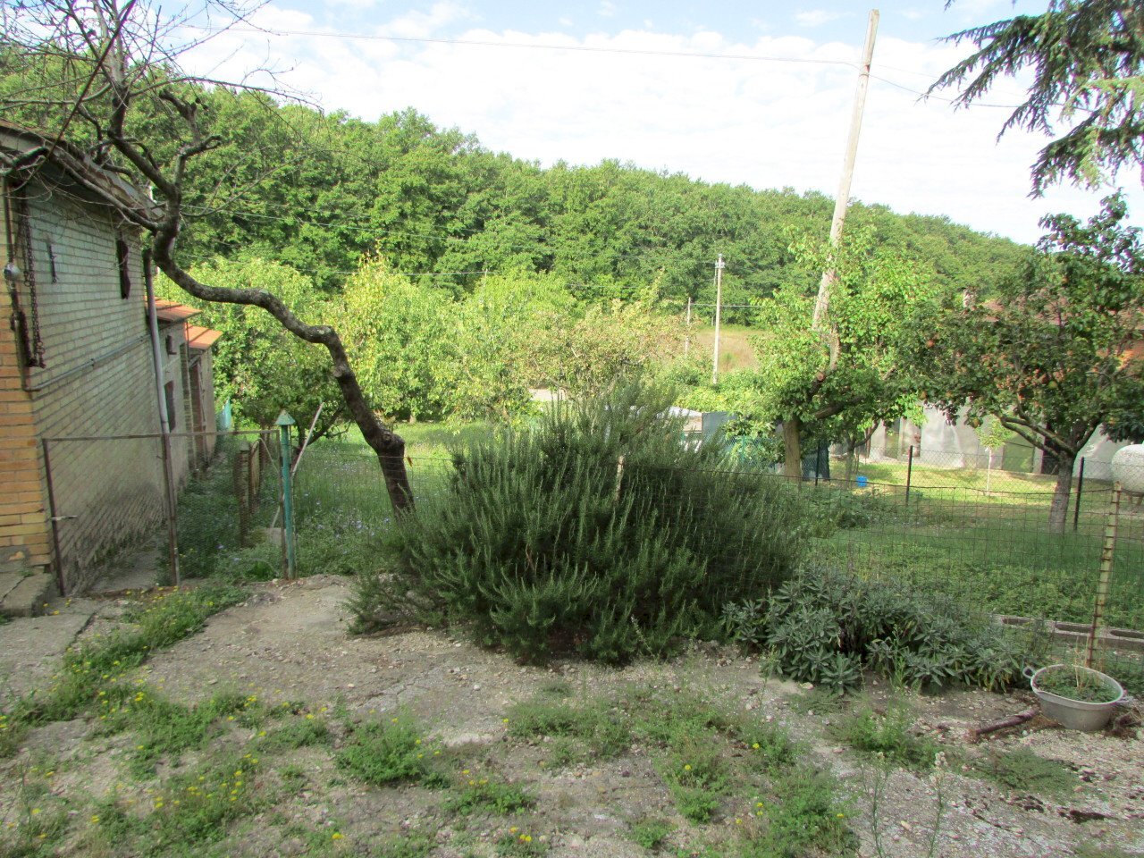 IMG_6283.JPG - Porzione di casa Todi - foto 3