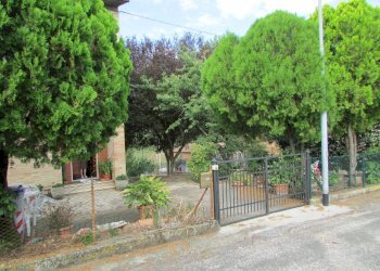 IMG_6293.JPG - Porzione di casa Todi - foto 12