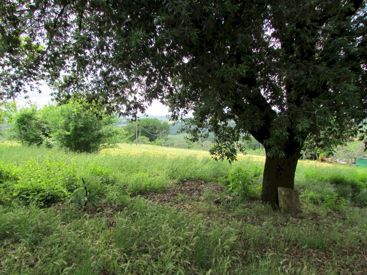 IMG_5263.JPG - Portion of a house Massa Martana - photo 3