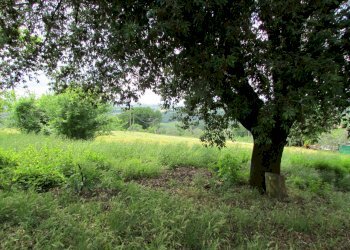 IMG_5263.JPG - Porzione di casa Massa Martana - foto 3