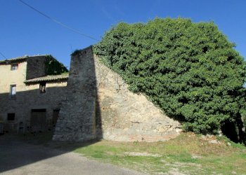 IMG_1355.JPG - Casale Todi - foto 8