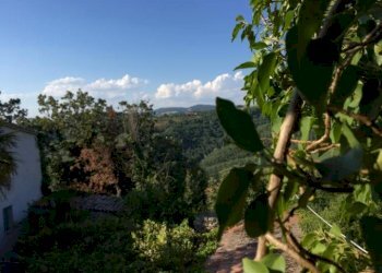 IMG-20181025-WA0008.jpg - Casale Todi - foto 18