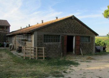 IMG_2675.JPG - Casale Todi - foto 7