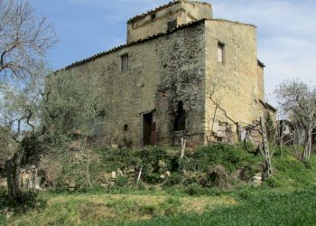 IMG_2264.JPG - Casale Todi - foto 6