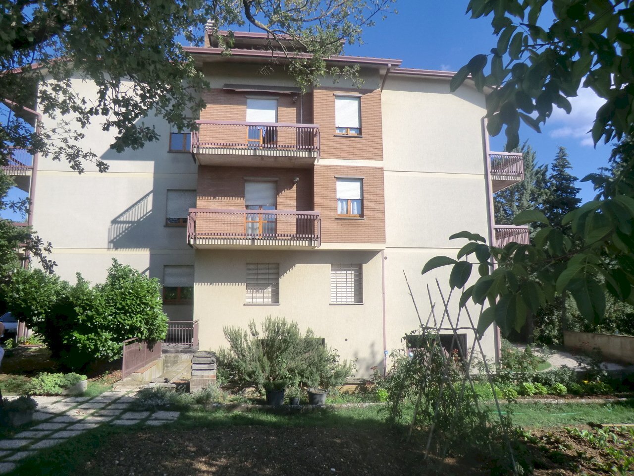 CIMG3838.JPG - Appartamento Massa Martana - foto 3