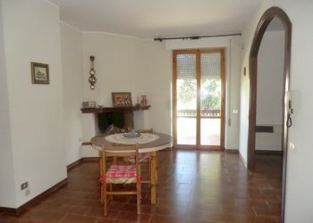 CIMG3815.JPG - Appartamento Massa Martana - foto 12