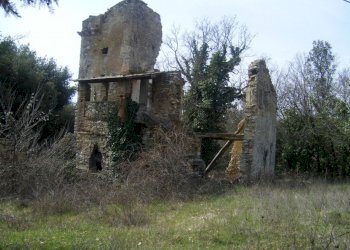 Immagine 006.jpg - Casale Massa Martana - foto 2