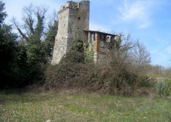 Immagine 009.jpg - Casale Massa Martana - foto 3