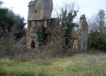 Immagine 005.jpg - Casale Massa Martana - foto 5