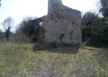 Immagine 003.jpg - Casale Massa Martana - foto 6