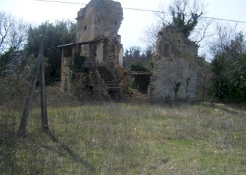 Immagine 002.jpg - Casale Massa Martana - foto 7