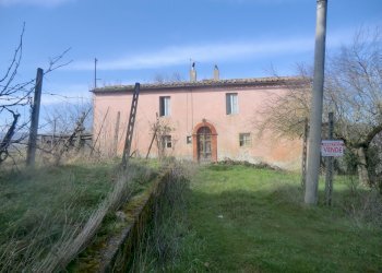 CIMG4480.JPG - Casale Todi - foto 2