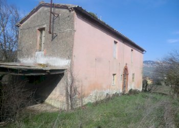 CIMG4484.JPG - Casale Todi - foto 4