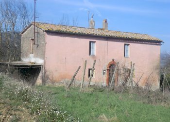 CIMG4494.JPG - Casale Todi - foto 7