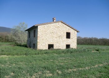 Immagine 003.jpg - Casale Massa Martana - foto 3