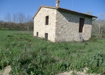 Immagine 006.jpg - Casale Massa Martana - foto 5