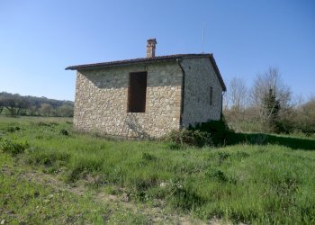 Immagine 007.jpg - Casale Massa Martana - foto 6