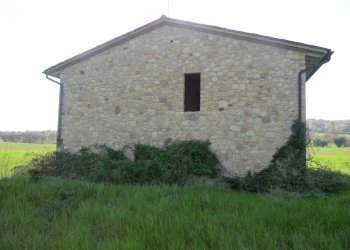 Immagine 008.jpg - Casale Massa Martana - foto 7