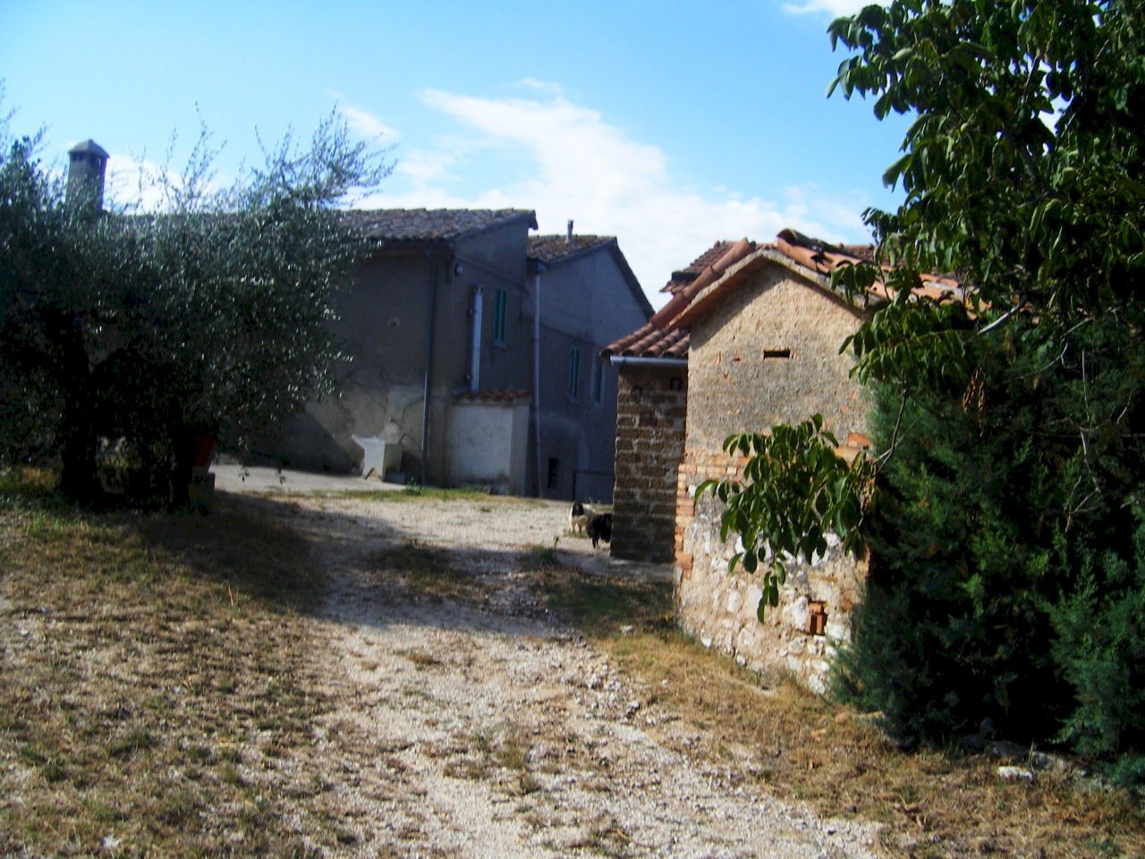 Immagine 883.jpg - Casale Massa Martana - photo 2