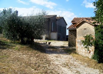 Immagine 889.jpg - Casale Massa Martana - foto 5