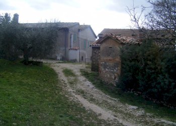 Immagine 890.jpg - Casale Massa Martana - foto 6