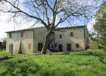 IMG_5501.JPG - Porzione di casa Massa Martana - foto 3