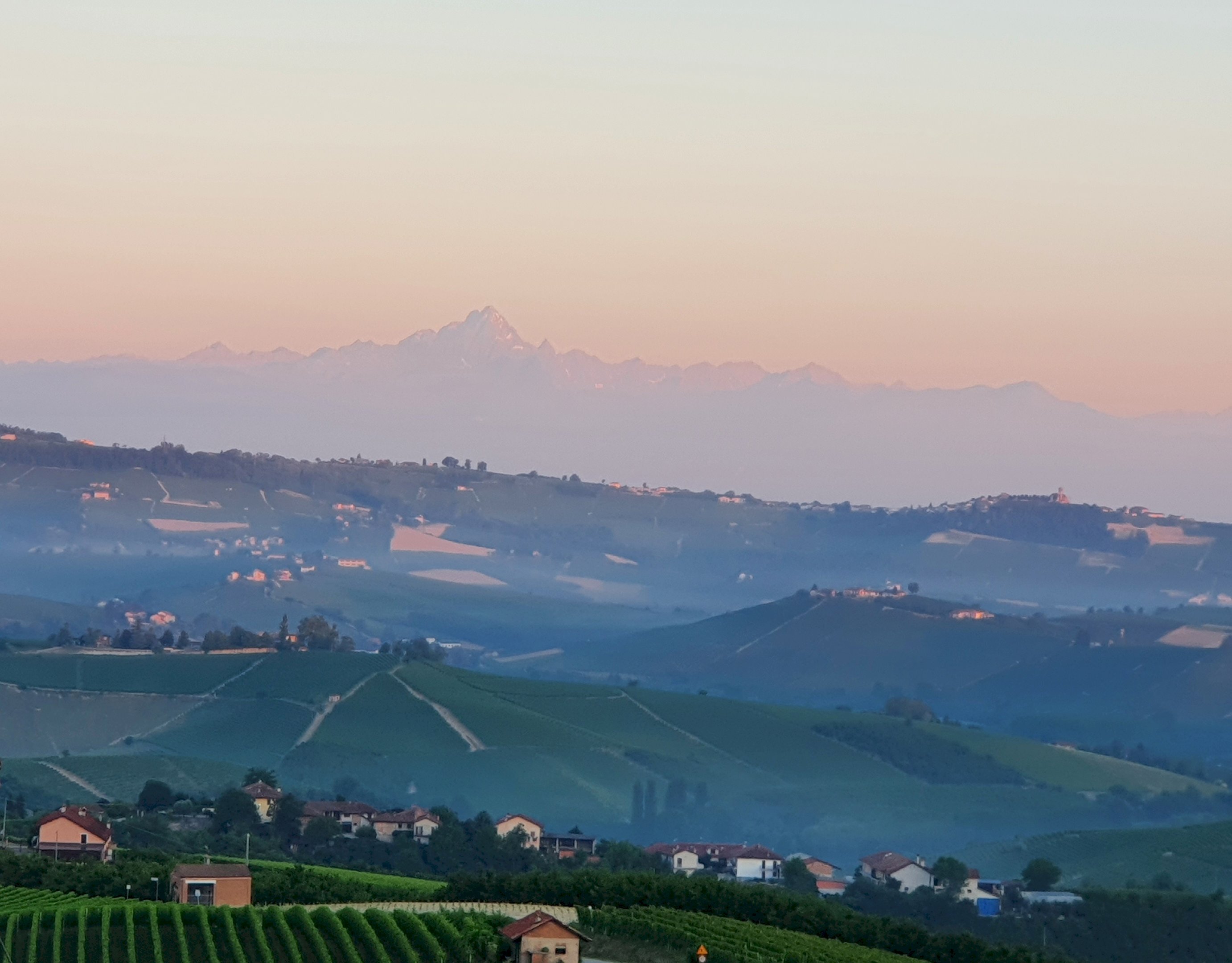 Azienda Alba - foto 2