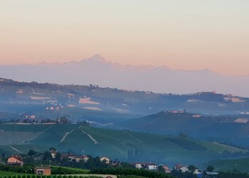 Azienda Alba - foto 2